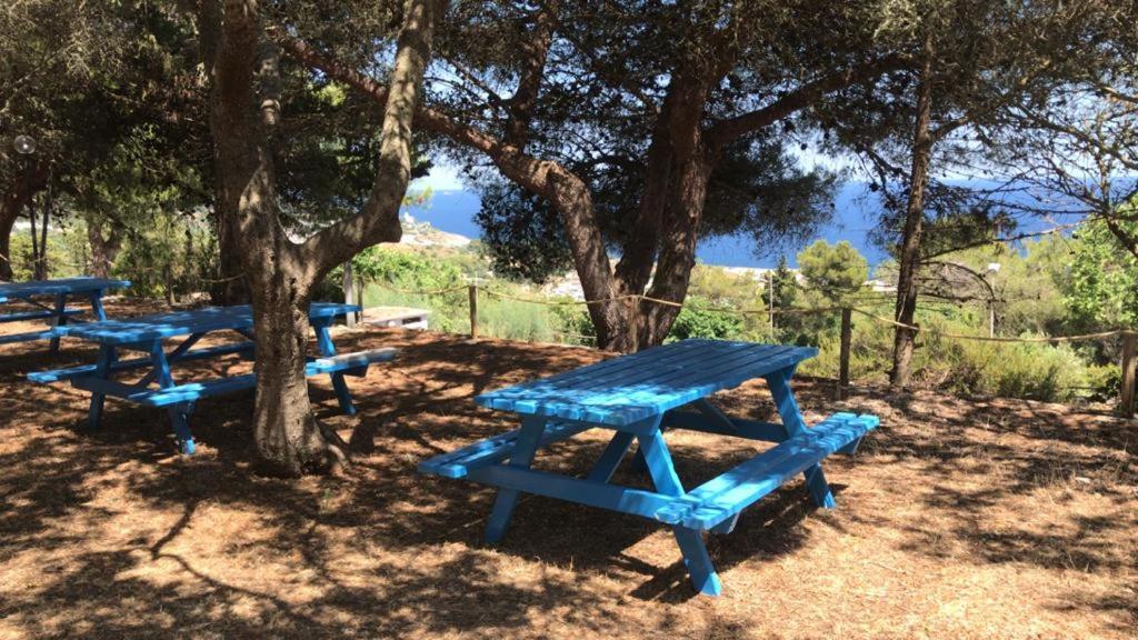 Camping La Scogliera Santa Cesarea Terme Exterior photo